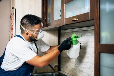 Technician in protective mask applying pest treatment